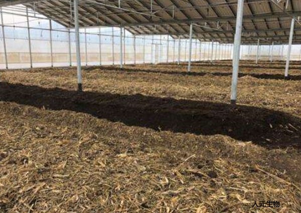 有機(jī)肥的優(yōu)缺點(diǎn)和有機(jī)肥的未來(lái)市場(chǎng)