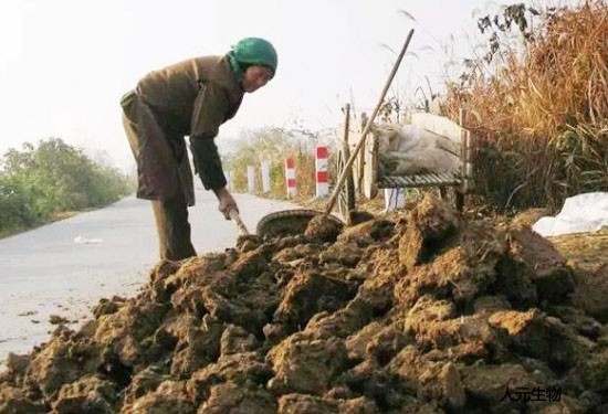 有機(jī)肥料有什么作用呢？無(wú)機(jī)肥和有機(jī)肥該如何選擇