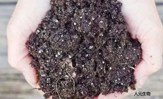 2022年有機(jī)肥的價(jià)格是多少