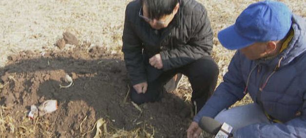 黑龍江秸稈利用，小秸稈變成大生意