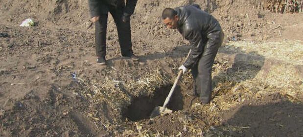 黑龍江秸稈利用，小秸稈變成大生意