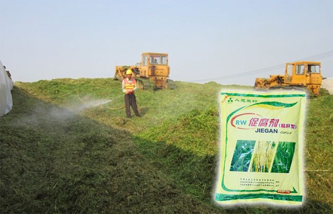 秸稈如何利用最掙錢？