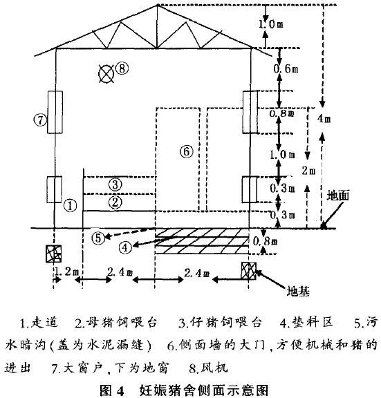 發(fā)酵床養(yǎng)豬對豬舍的要求及建設