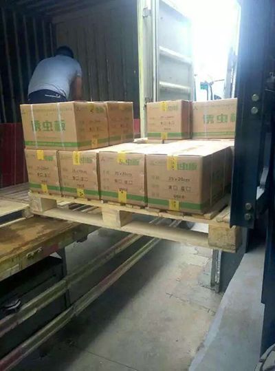 誘蟲板出貨，發(fā)貨現(xiàn)場圖4