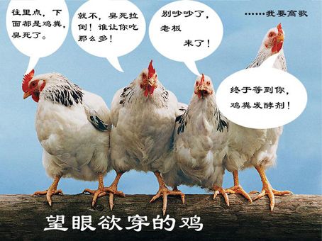 海南雞糞生產有機肥的技術_雞糞怎么做成有機肥