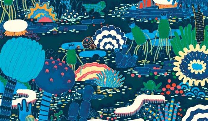 什么是生物功能菌_生物有機肥里功能菌都起什么作用_人元生物詳解 什么是生物功能菌_生物有機肥里功能菌都起什么作用_人元生物詳解