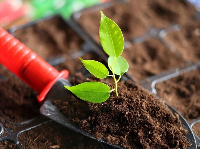 【土壤問題】土壤如何施肥，為什么必須使用有機(jī)肥