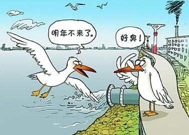 【刻不容緩】養(yǎng)殖場糞污處理_環(huán)保新政猛于虎 【刻不容緩】養(yǎng)殖場糞污處理_環(huán)保新政猛于虎