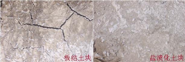 【關(guān)注】農(nóng)業(yè)部為什么大力推廣有機(jī)肥：有機(jī)肥的長(zhǎng)期不足、缺失破壞了土壤結(jié)構(gòu)