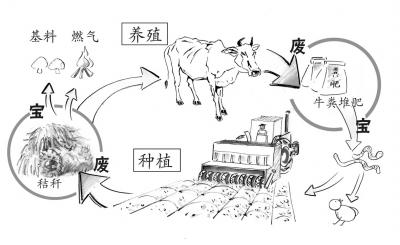 湖南農(nóng)業(yè)廢棄物變身高效有機(jī)肥_有機(jī)肥生產(chǎn)菌劑