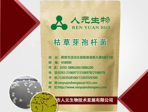 人元生物枯草芽孢桿菌的主要功能和作用 人元生物枯草芽孢桿菌的主要功能和作用