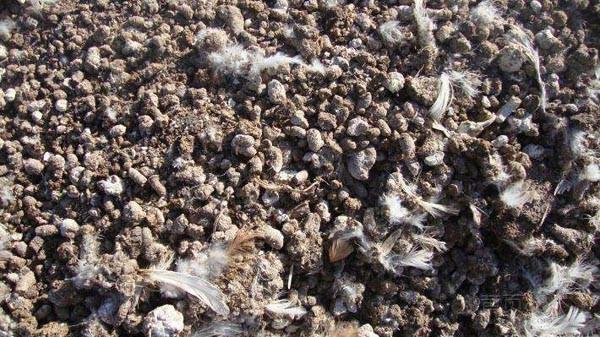 各種常用有機堆肥_農(nóng)家肥施用時機與方法 各種常用有機堆肥_農(nóng)家肥施用時機與方法