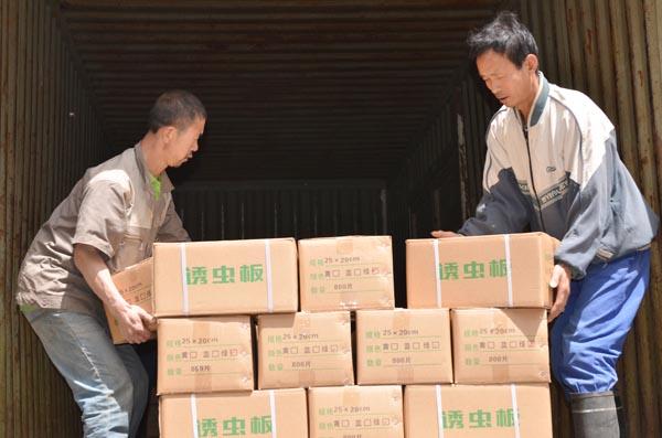 捕蟲神器-誘蟲板-粘蟲板-黃板-籃板 捕蟲神器-誘蟲板-粘蟲板-黃板-籃板