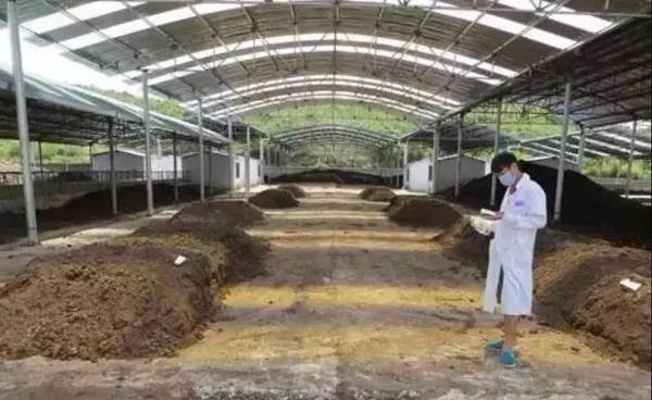 河南利用果渣藥渣制作有機(jī)肥