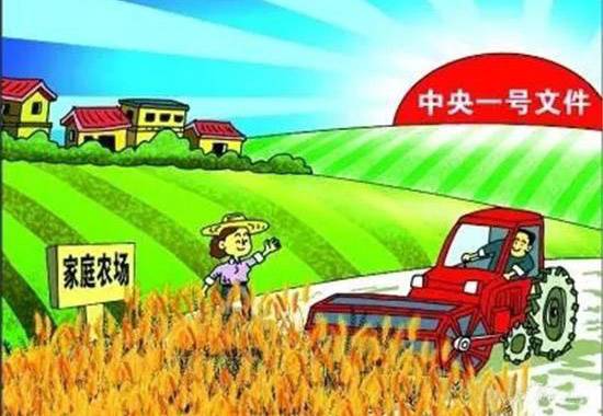 2018年生物有機肥廠最新補貼政策 2018年生物有機肥廠最新補貼政策