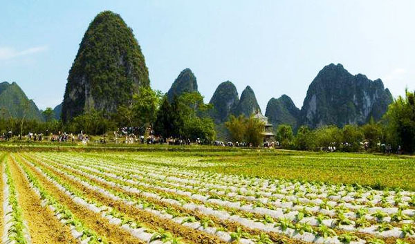 海南2019年湖北省農機購置補貼政策（含有機肥設備補貼）