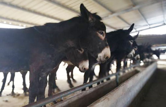 2019年湖北省農(nóng)機購置補貼政策（含有機肥設(shè)備補貼）