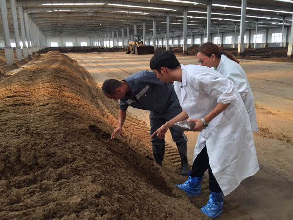 雞糞發(fā)酵后做飼料喂豬技術(shù) 雞糞發(fā)酵后做飼料喂豬技術(shù)