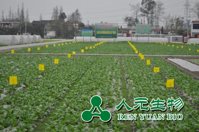 有機(jī)肥發(fā)展趨勢(shì)：未來3年我國(guó)將大力推進(jìn)畜禽糞污資源化利用