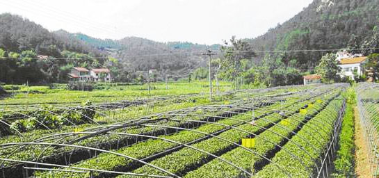 您買的肥料包裝標(biāo)識符合國家標(biāo)準(zhǔn)嗎？