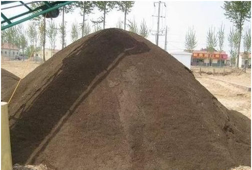 草莓種植施用什么肥料好，如何施肥？