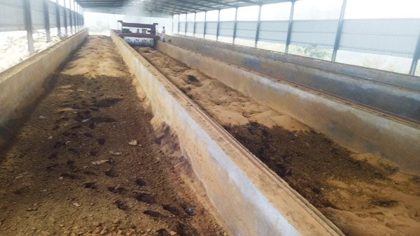 豬糞加工有機(jī)肥的步驟，需要哪些成本？