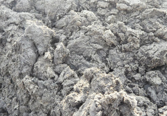 鮮雞糞如何制作生物有機肥？