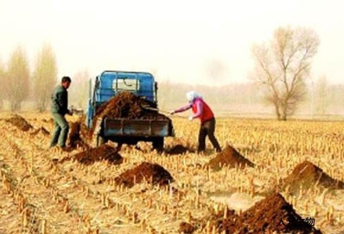 內(nèi)蒙我國豬糞利用方面未來發(fā)展趨勢怎樣？