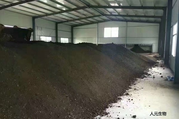 在施用菌肥時有哪些常見的預防措施？