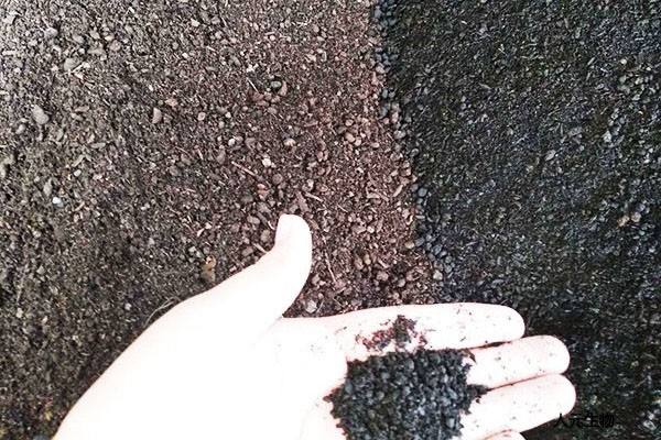 在施用菌肥時有哪些常見的預防措施？