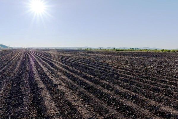 施用傳統(tǒng)有機肥和生物有機肥哪個好？