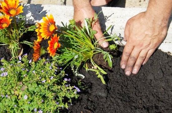 常說的施用有機肥十大好處都有哪些？