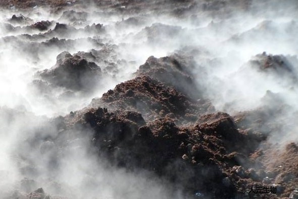 有機(jī)肥應(yīng)該發(fā)酵多少天，需要經(jīng)歷幾個(gè)階段？