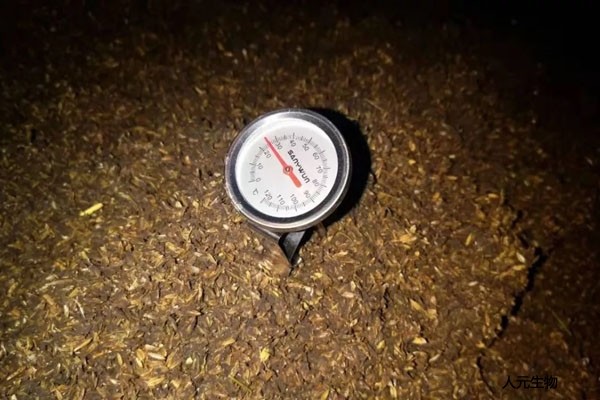 有機(jī)肥應(yīng)該發(fā)酵多少天，需要經(jīng)歷幾個(gè)階段？