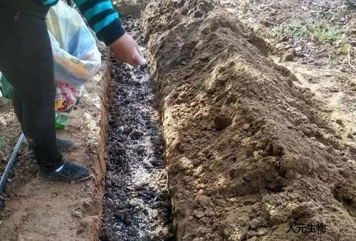 有機(jī)肥發(fā)酵到什么程度算腐熟，評(píng)判的標(biāo)準(zhǔn)又是什么呢？