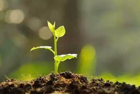 什么是有機(jī)肥？施用有機(jī)肥有哪些具體作用？