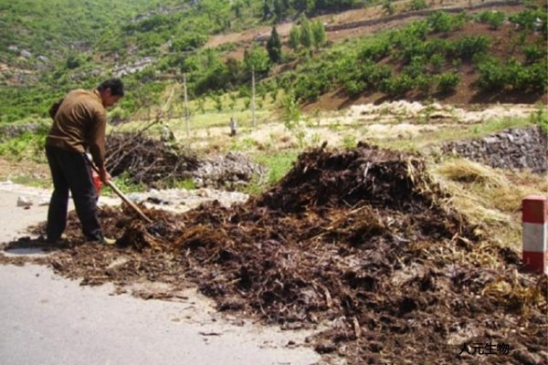 果園有機(jī)肥怎么施用效果才好？