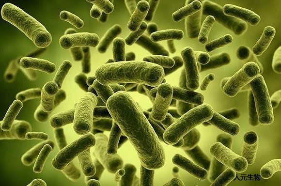 貴州微生物菌肥料有哪些種類？