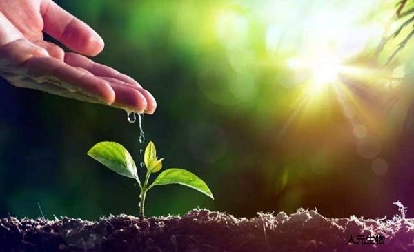 生物有機(jī)肥真的能改善農(nóng)產(chǎn)品品質(zhì)、提高土壤肥力嗎？