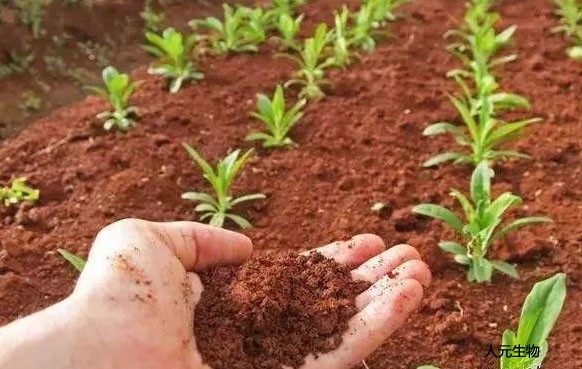 都說有機(jī)肥好，為啥老百姓卻不認(rèn)可呢？