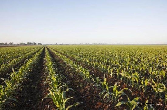 都說有機(jī)肥好，為啥老百姓卻不認(rèn)可呢？