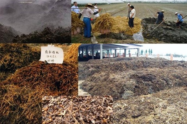 秸稈有機(jī)肥需要怎樣發(fā)酵好？