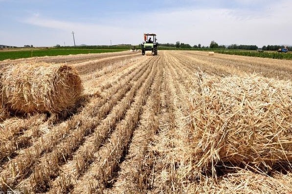 貴州秸稈有機(jī)肥需要怎樣發(fā)酵好？