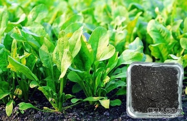 有機(jī)肥有什么作用，如何選購商品有機(jī)肥？