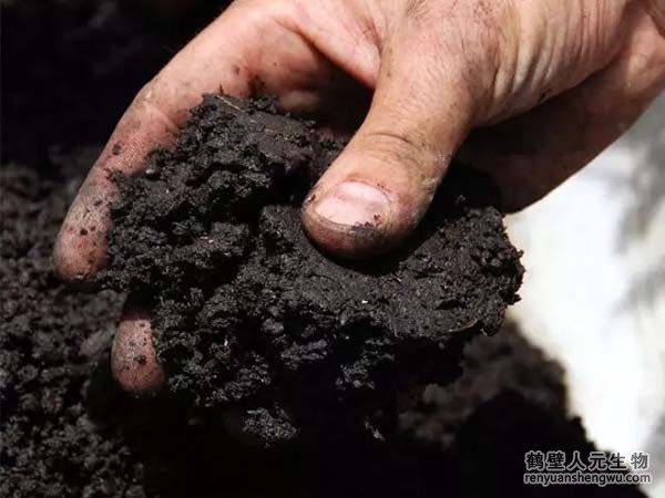 每畝地施用多少有機肥，土壤有機質(zhì)才能增加1%？