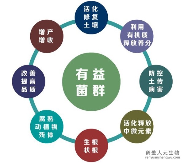 都說微生物菌劑產(chǎn)品貴，你卻不知道土壤微生物到底有多重要！