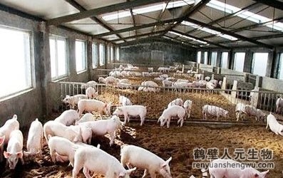 豬糞是如何發(fā)酵成有機(jī)肥料的？