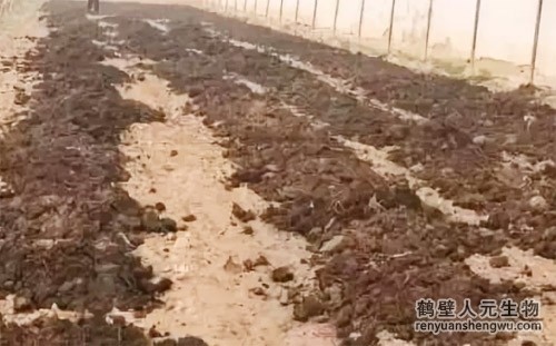 豬糞是如何發(fā)酵成有機(jī)肥料的？