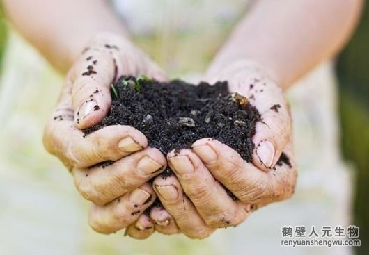 安徽關(guān)于有機肥與復(fù)合肥你需要知道的那些事