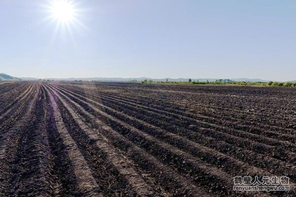 新疆一起使用有機(jī)肥和化肥竟然有這種好處